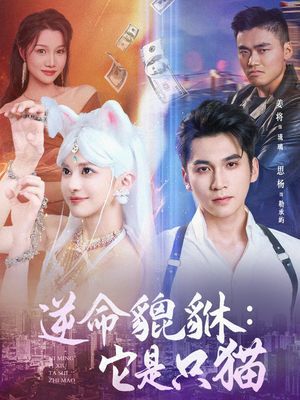逆命貔貅它是只猫（35集）精彩短剧天天看