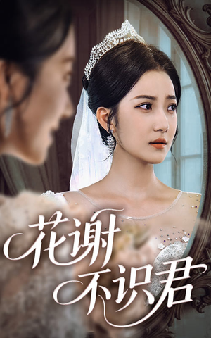 花谢不识君（40集）每日短剧追不停