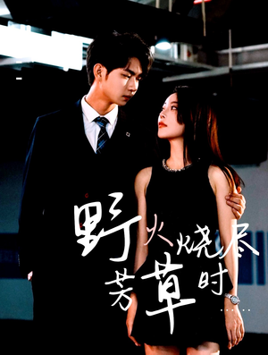 野火烧尽芳草时（65集）追短剧看全集