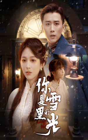 你是雪里的光（64集）每日短剧追不停