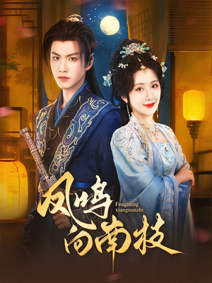 凤鸣向南枝（69集）更新时间