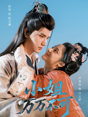 小姐万万不可（74集）一共多少集