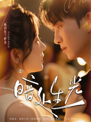 暗处生光（82集）好看短剧看不停