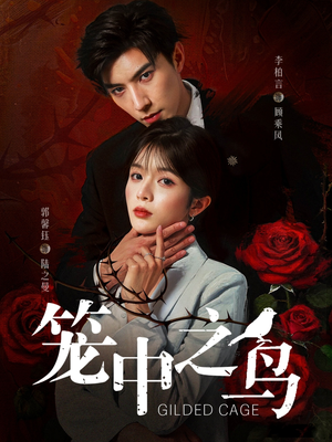 笼中之鸟（70集）恋爱短剧分享