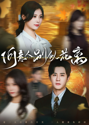 何意人别似花离（61集）精彩片段