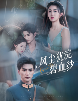 风尘犹浣碧血纱（60集）夸克网盘观看