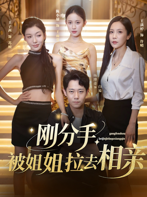 分手被姐姐拉去相亲（73集）最热短剧抢先看