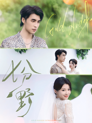 七分野（78集）无需会员免费看