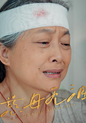 慈母无泪（30集）完整版