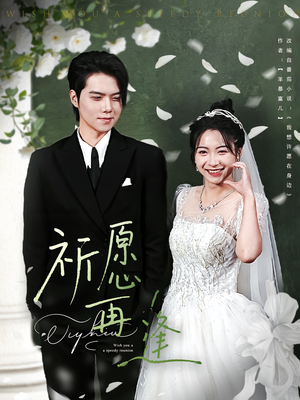 祈愿再逢（80集）全剧免费观看