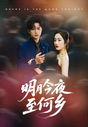 明月今夜至何乡（70集）热播短剧追不停