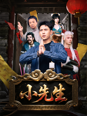 小先生（79集）精彩短剧推荐