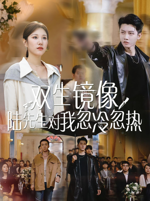双生镜像陆先生对我忽冷忽热（61集）更新时间一览表