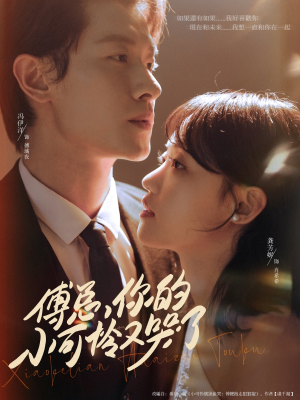 傅总你的小可怜又哭了（80集）独家资源免费看