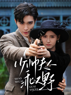 少帅夫人乖又野（84集）免费短剧看全集