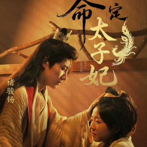 命定太子妃（63集）精彩短剧上线