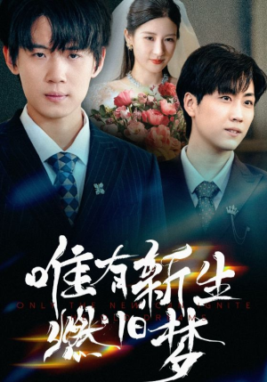 唯有新生燃旧梦（55集）口碑爆棚免费看