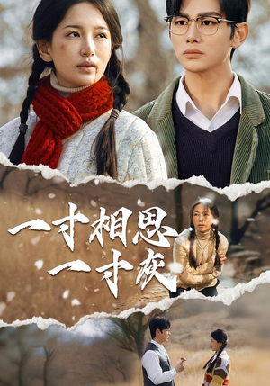 一寸相思一寸灰（43集）最新热播短剧