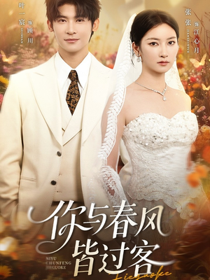 你与春风皆过客（66集）真的太好看了