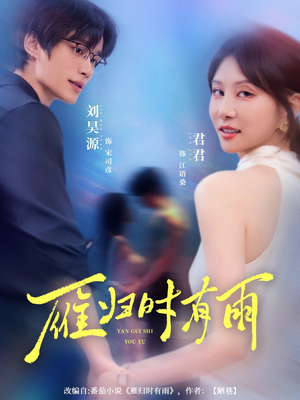 雁归时有雨（84集）短剧在哪里看