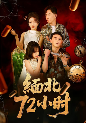 缅北72小时（43集）番茄免费短剧