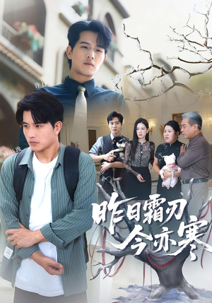 昨日霜刃今亦寒（80集）深深爱上这部剧