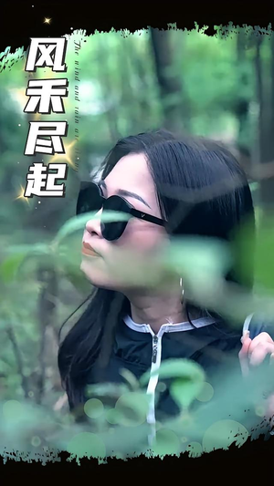 风禾尽起（31集）短剧免费看全集