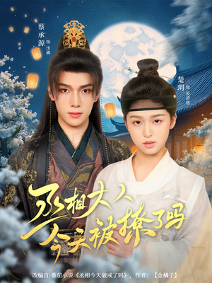 丞相大人今天被撩了吗（80集）免费短剧资源