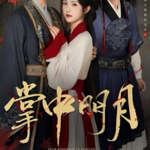 掌中明月（60集）短剧解说热门