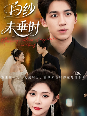 老婆婚礼我当证婚人（54集）免费在线看全集