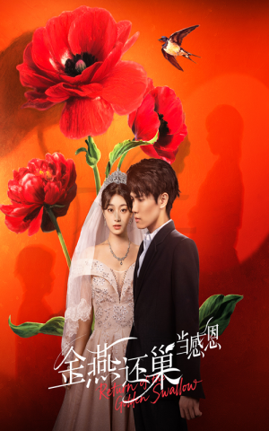 金燕还巢当感恩（55集）在哪个app能看