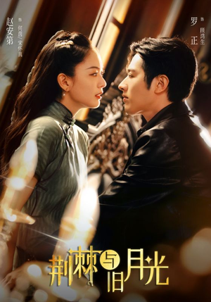 荆棘与旧月光（80集）短剧片段分享