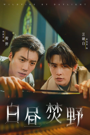 白昼焚野(70集) 白昼焚野(70集)在线看完整版