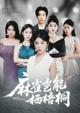 麻雀岂能栖梧桐（31集）每日短剧分享