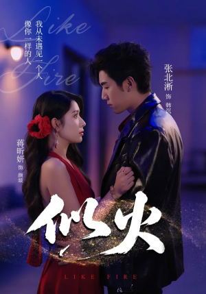 似火(80集) 似火(80集)精彩连连免费看