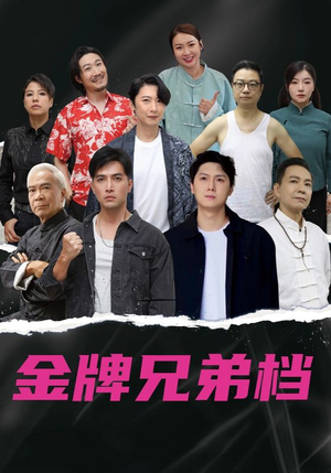 龙虎兄弟粤语版（60集）剧情简介