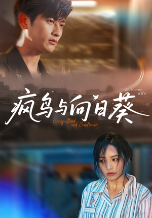 疯鸟与向日葵（40集）上热门短剧