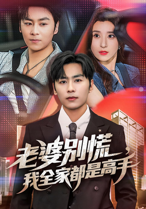 婆别慌我全家都是高手（58集）每天分享短剧