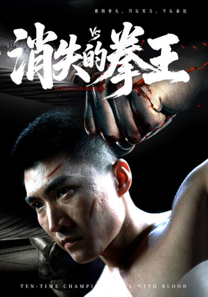 消失的拳王（72集）第一集