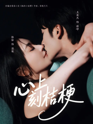 心上刻桔梗（90集）在哪个平台能看