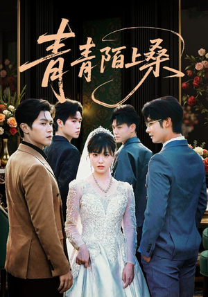 青青陌上桑（70集）一口气追完全集