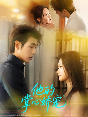 他的掌心娇宠（60集）排行榜前十短剧