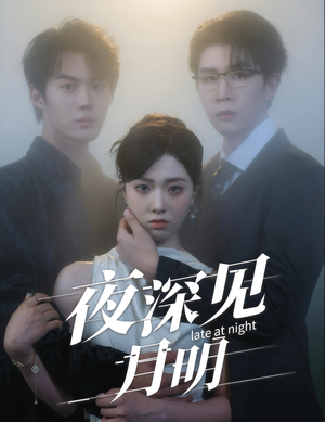 夜深见月明（50集）哪个短剧网能看