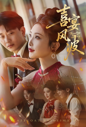 喜宴风波&替罪伴娘（30集）最热短剧抢先看