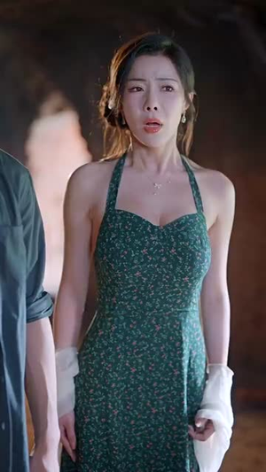 春风不渡乡愁  (76集)精彩短剧随心推