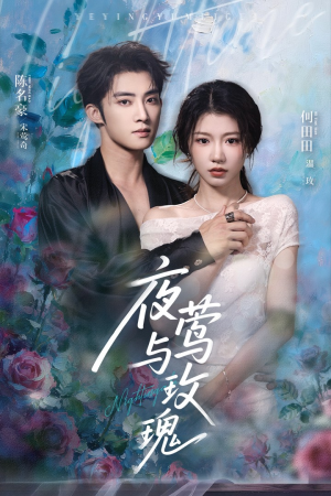 夜莺与玫瑰(66集) 夜莺与玫瑰(66集)解说文案