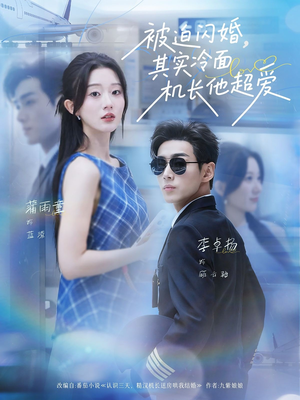 被迫闪婚其实冷面机长他超爱（77集）在线看免费版