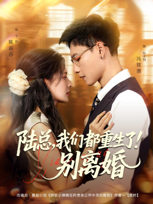 陆总我们都重生了别离婚（79集）迅雷网盘观看