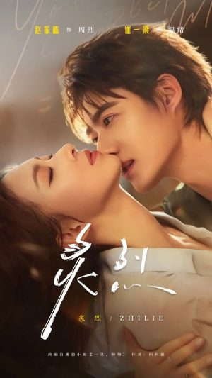 炙烈（73集）热播短剧追不停