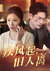 疾风起旧人离（32集）河马免费短剧